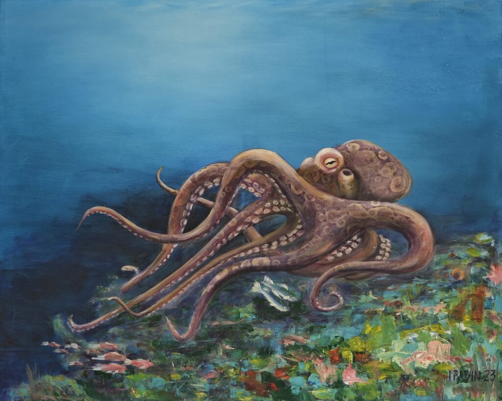 Octopus