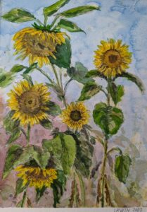 Sonnenblumen