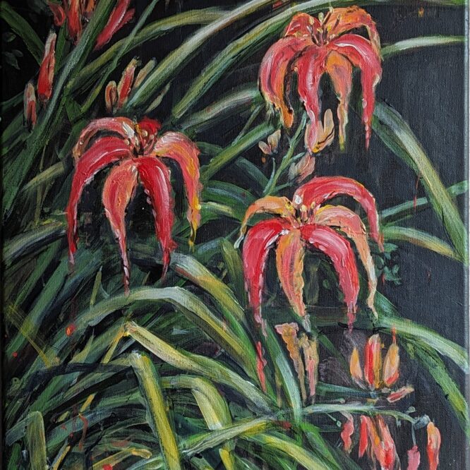 Lilien