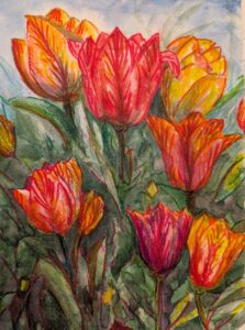 Tulpen